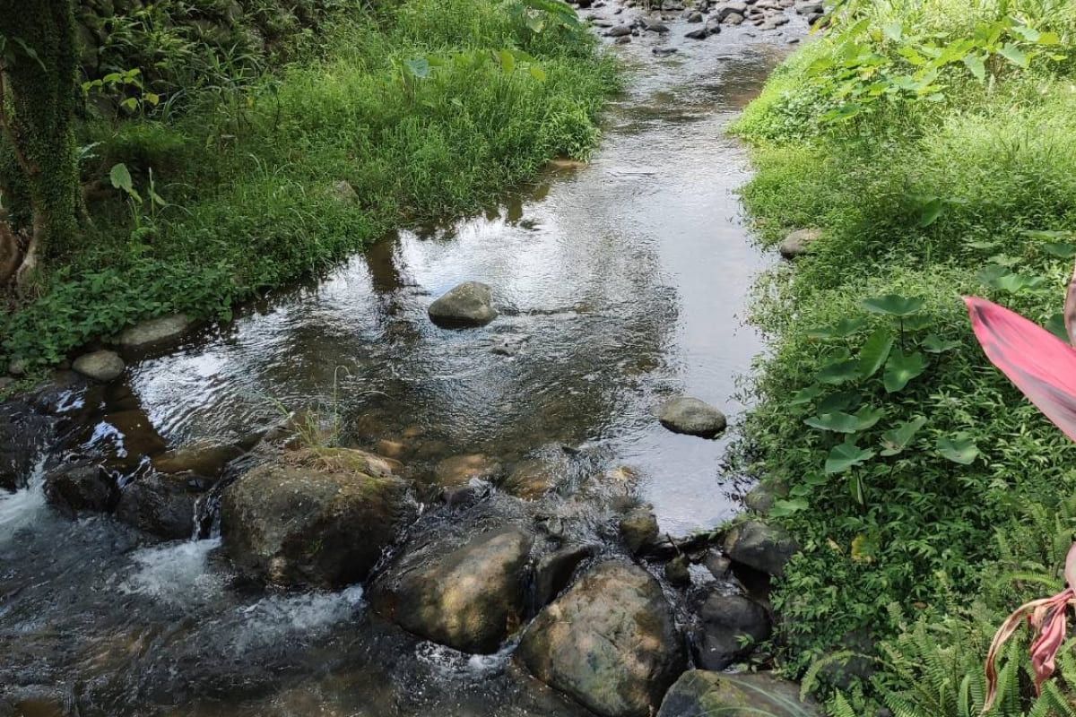 Image 14