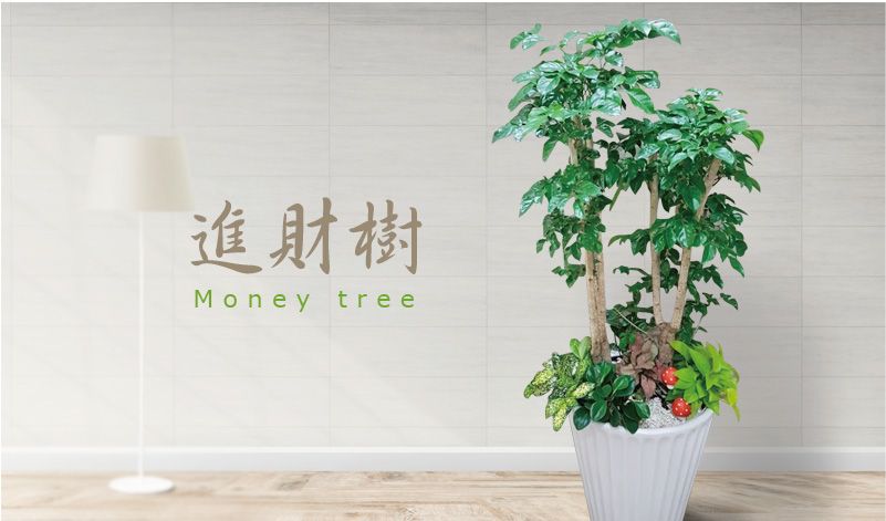 進財樹